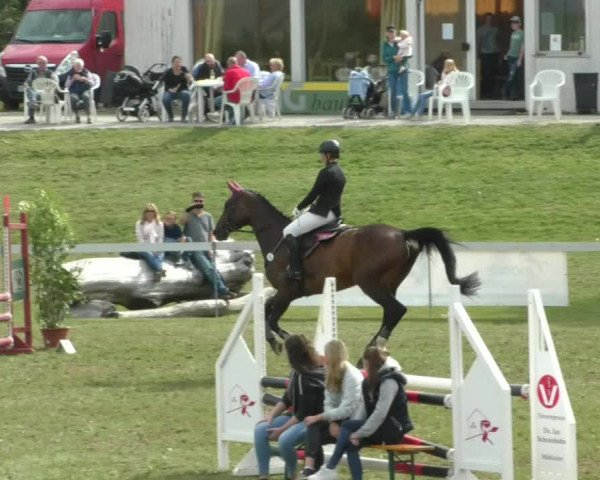 Reitturnier Nußdorf 2019