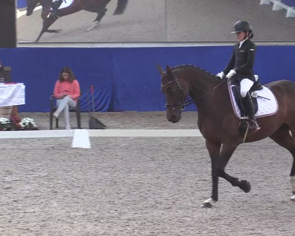 Reitturnier Pforzheim 2019