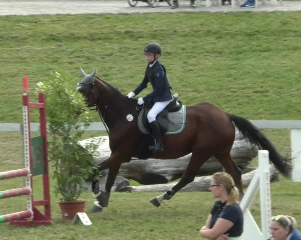 Reitturnier Nußdorf 2019