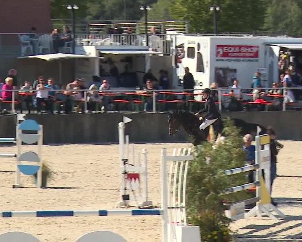 Reitturnier Küps/Ofr. 2019
