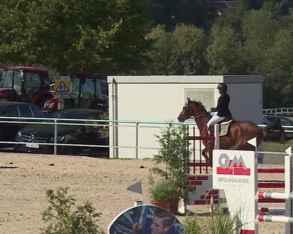 Reitturnier Küps/Ofr. 2019
