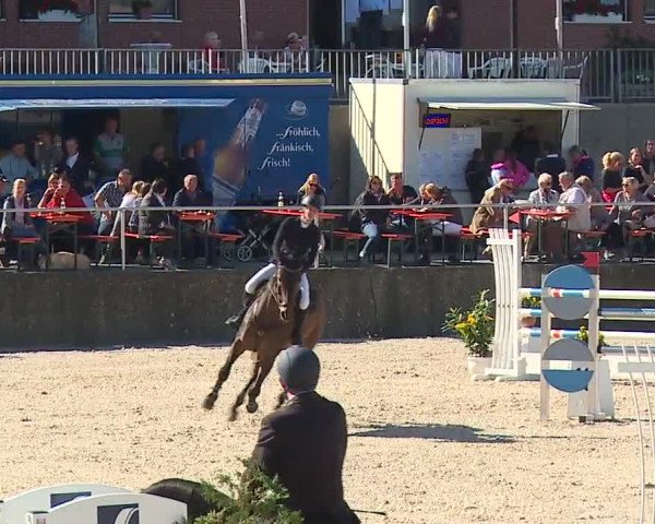 Reitturnier Küps/Ofr. 2019
