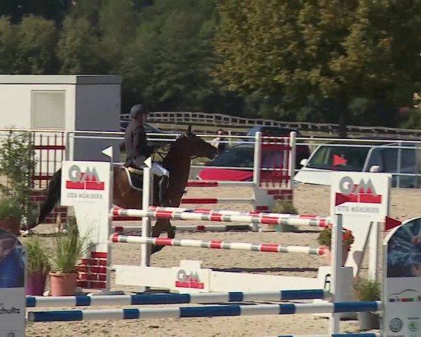 Reitturnier Küps/Ofr. 2019