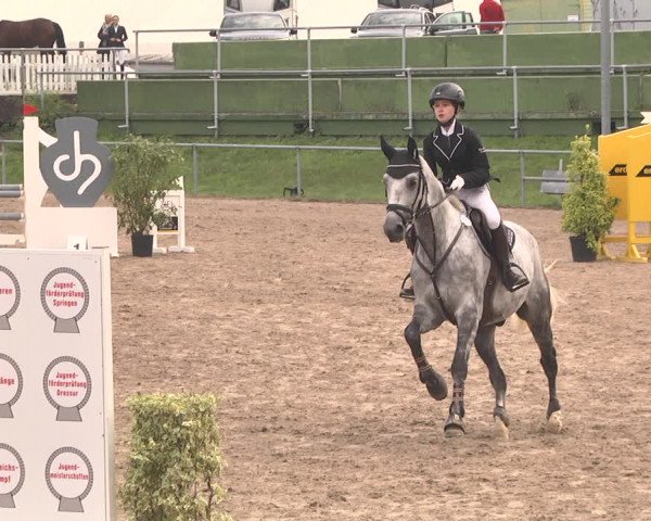 Reitturnier Pforzheim 2019