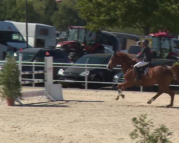 Reitturnier Küps/Ofr. 2019