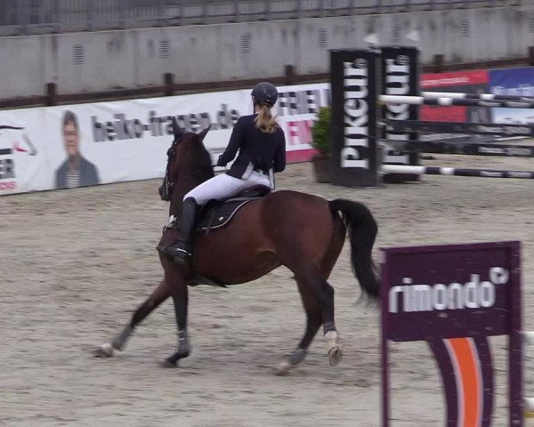 Reitturnier Westergellersen 2021