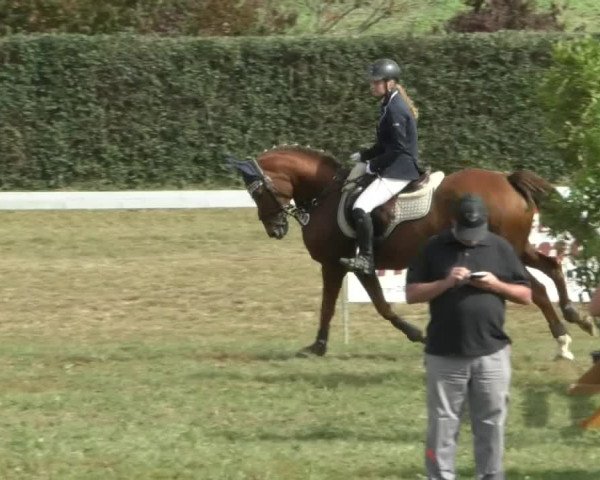 Reitturnier Nußdorf 2019