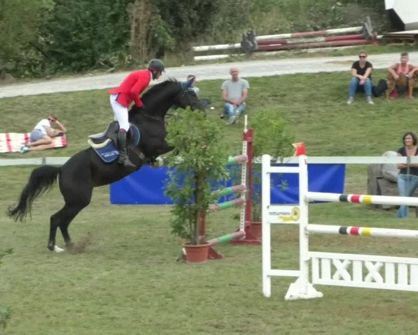 Reitturnier Nußdorf 2019