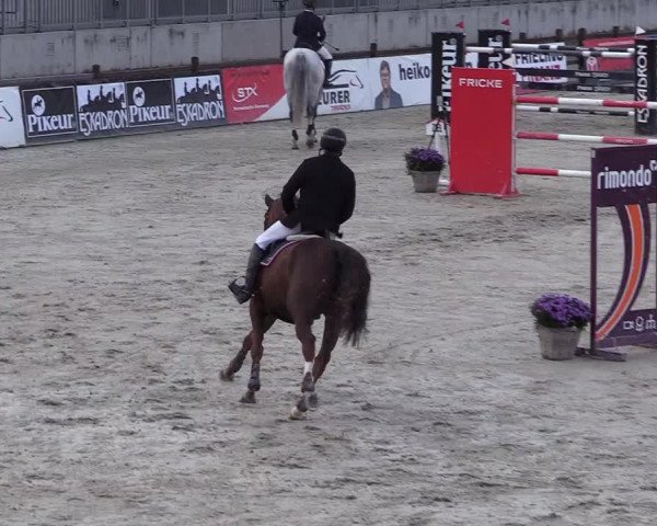 Reitturnier Westergellersen 2021