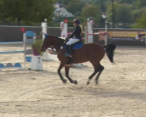 Reitturnier Küps/Ofr. 2019