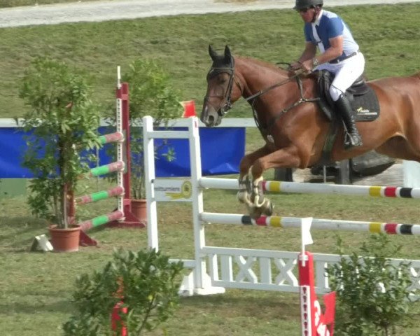 Reitturnier Nußdorf 2019