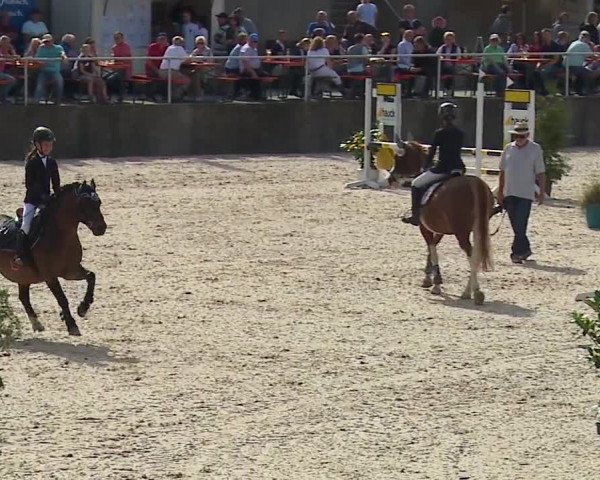 Reitturnier Küps/Ofr. 2019