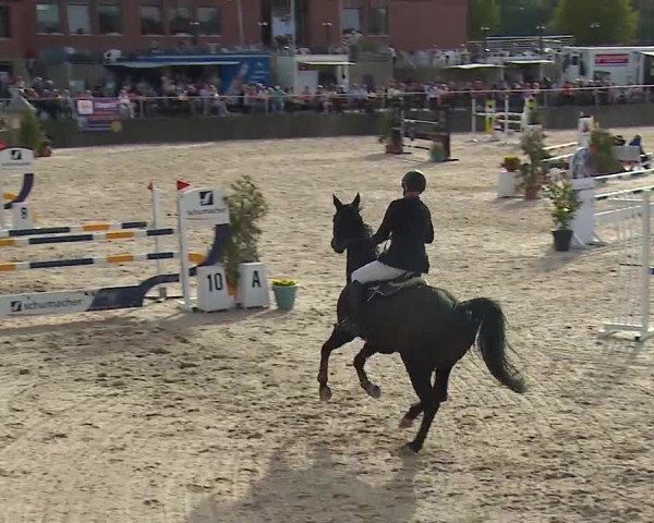 Reitturnier Küps/Ofr. 2019