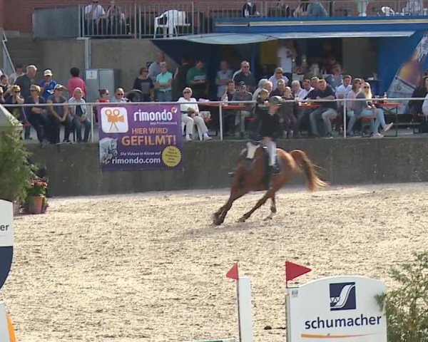 Reitturnier Küps/Ofr. 2019