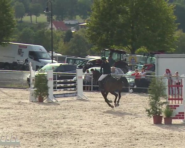 Reitturnier Küps/Ofr. 2019