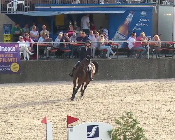 Reitturnier Küps/Ofr. 2019