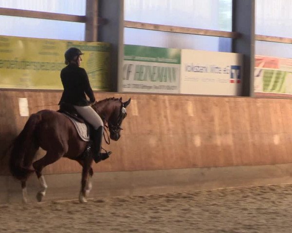 Reitturnier Hof Bettenrode 2019