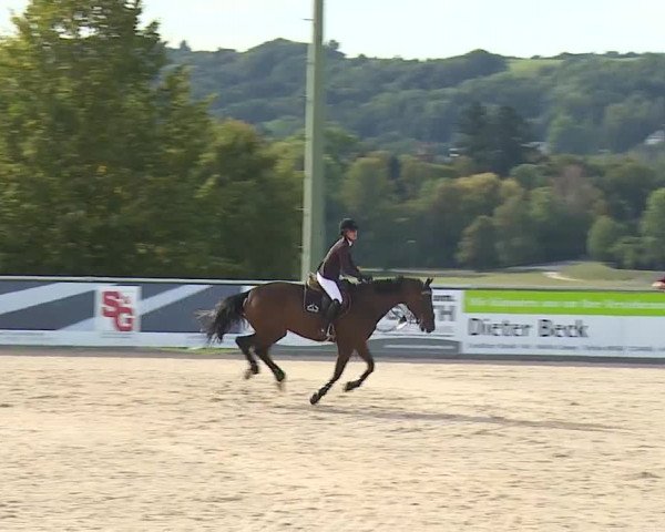 Reitturnier Küps/Ofr. 2019