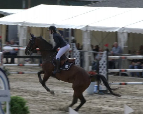 Reitturnier Neunkirchen-City 2019