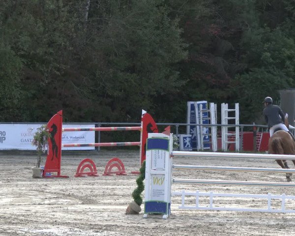Reitturnier Neunkirchen-City 2019