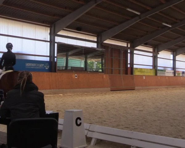 Reitturnier Hof Bettenrode 2019