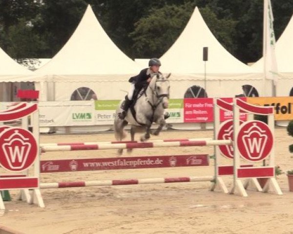 jumper Die Da Tf (German Riding Pony, 2010, from Dexter Leam Pondi)