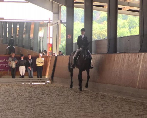 Reitturnier Hof Bettenrode 2019