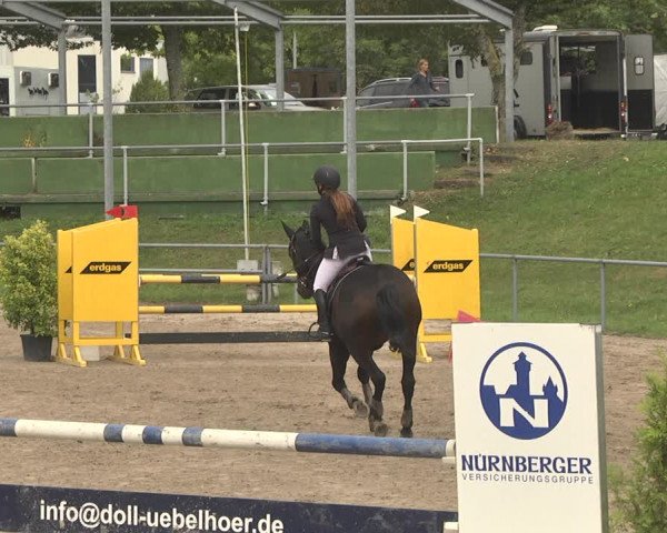 Reitturnier Pforzheim 2019