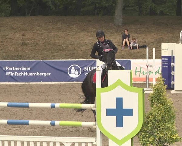 Reitturnier Pforzheim 2019