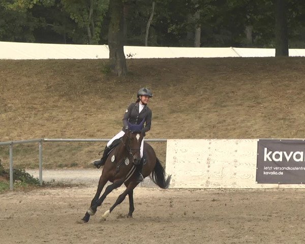 Reitturnier Pforzheim 2019