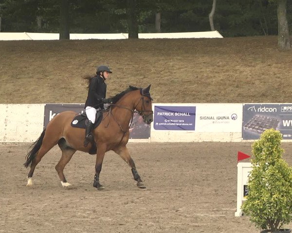 Reitturnier Pforzheim 2019