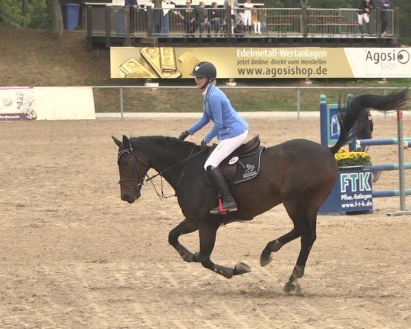Reitturnier Pforzheim 2019