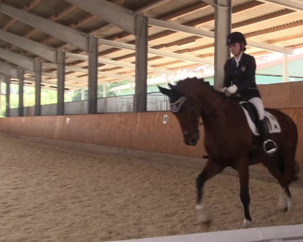 Reitturnier Hof Bettenrode 2019