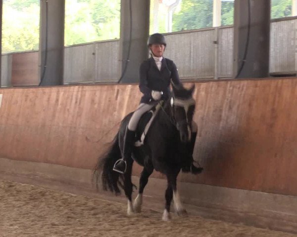 Reitturnier Hof Bettenrode 2019