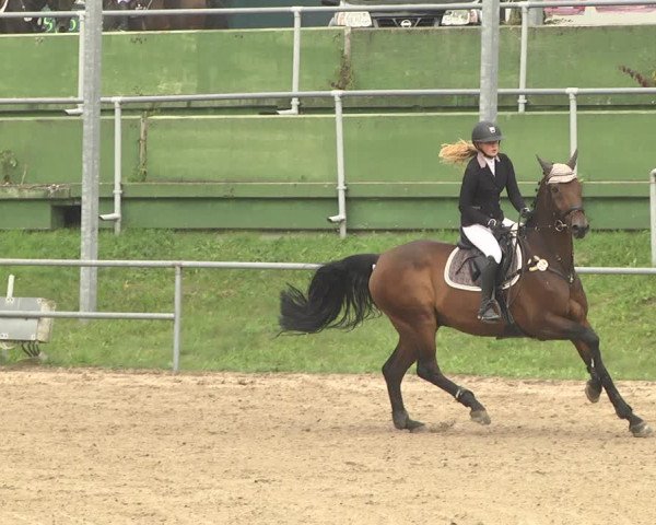 Reitturnier Pforzheim 2019