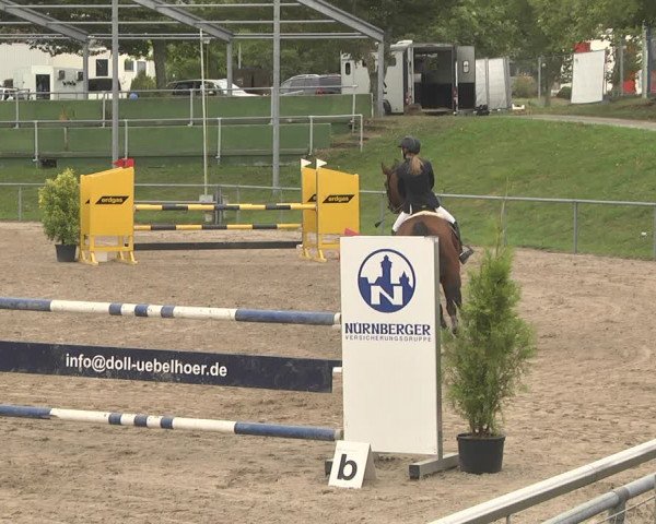 Reitturnier Pforzheim 2019