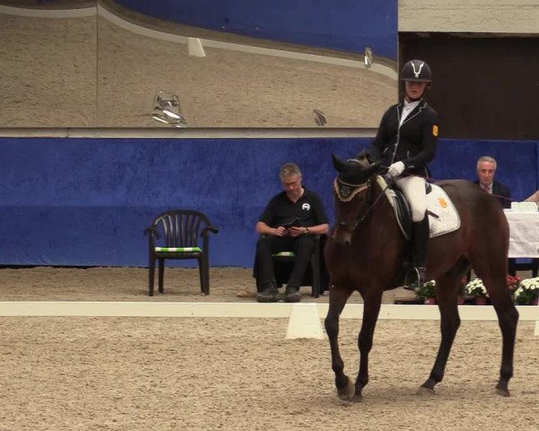 Reitturnier Pforzheim 2019