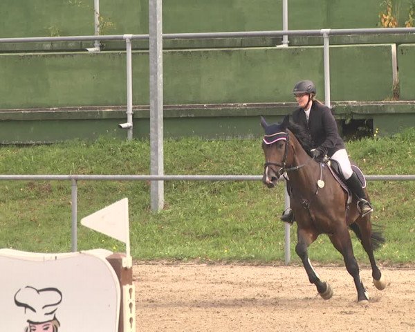 Reitturnier Pforzheim 2019