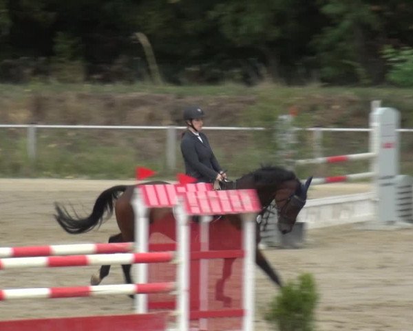 Reitturnier Köln-Leverkusen 2019