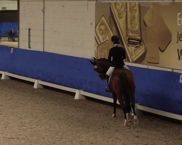 Reitturnier Pforzheim 2019