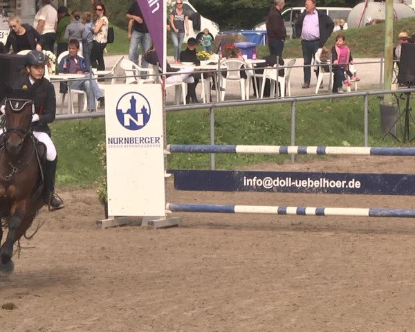 Reitturnier Pforzheim 2019