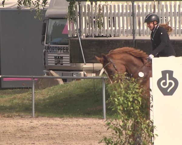 Reitturnier Pforzheim 2019