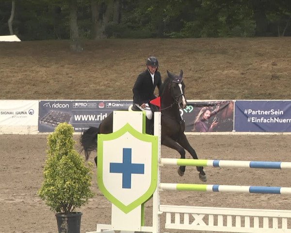 Reitturnier Pforzheim 2019