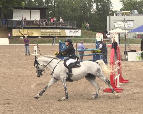 Reitturnier Pforzheim 2019