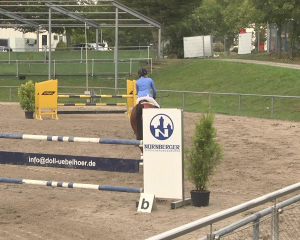 Reitturnier Pforzheim 2019