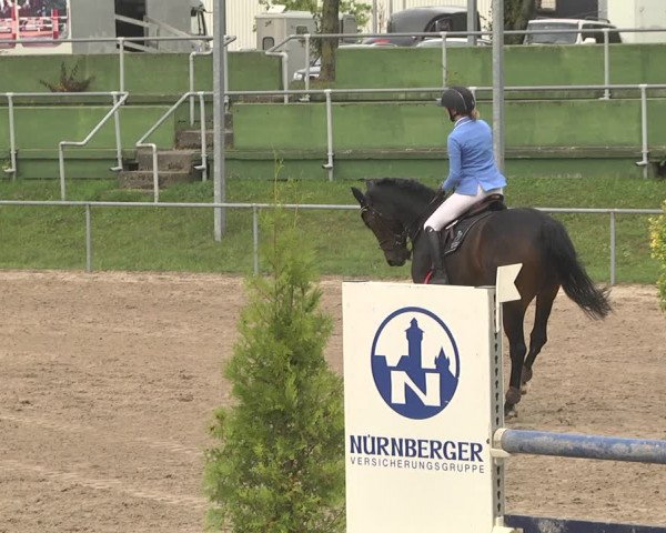 Reitturnier Pforzheim 2019