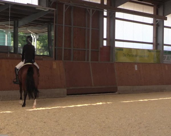 Reitturnier Hof Bettenrode 2019