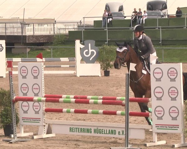 Reitturnier Pforzheim 2019