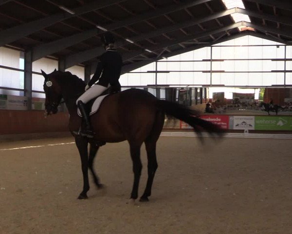Reitturnier Hof Bettenrode 2019