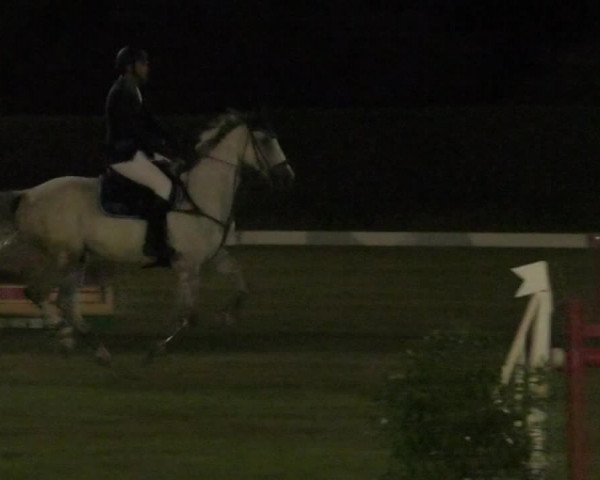 Reitturnier Nußdorf 2019